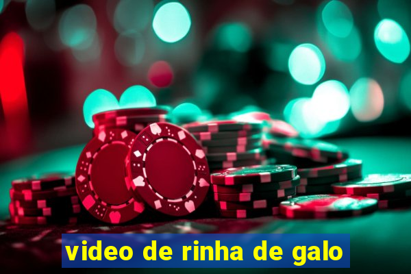 video de rinha de galo